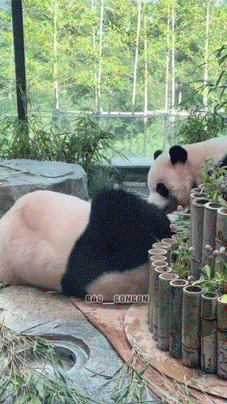 zVLkEp.gif