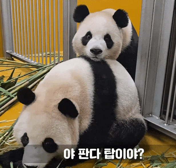 zVgjKx.gif