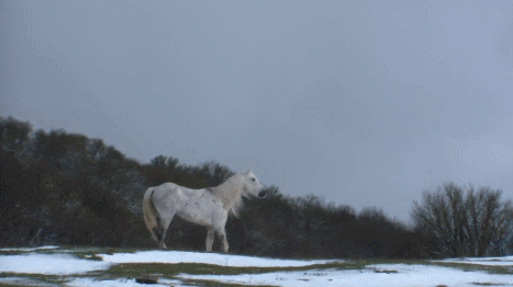 zVjIGE.gif