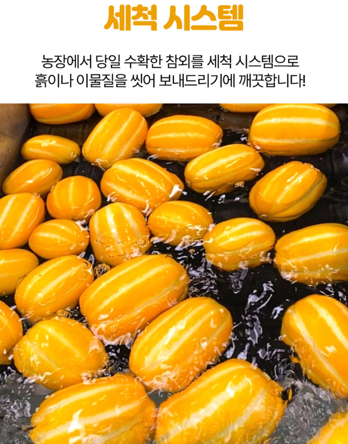 더쿠 - 성주 못난이 참외 10kg