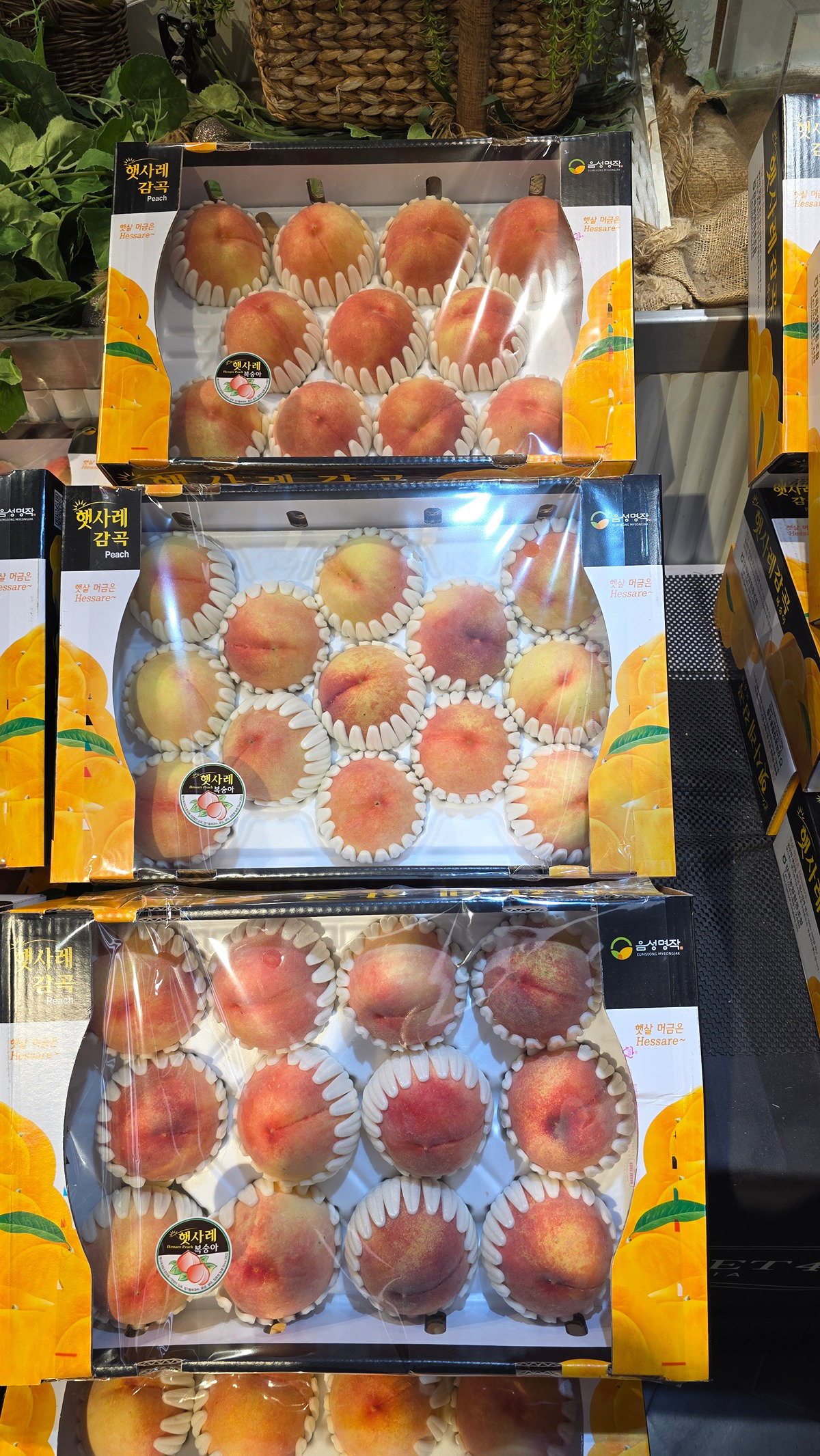 zYVtTi