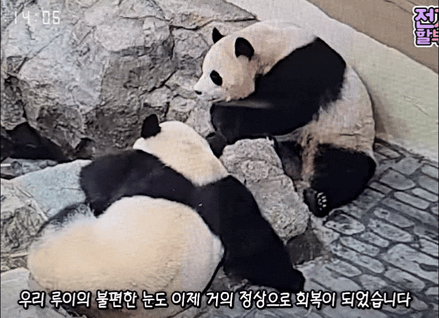 ziBzEe.gif