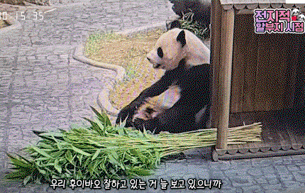 zoRVyB.gif