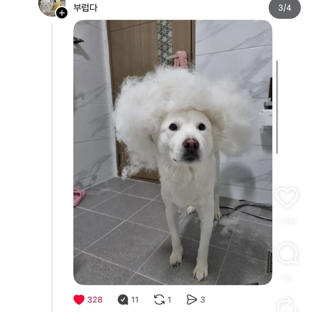 zppCsF