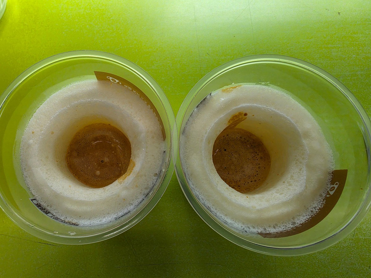 zqBgGn