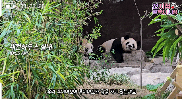 zqUnGc.gif