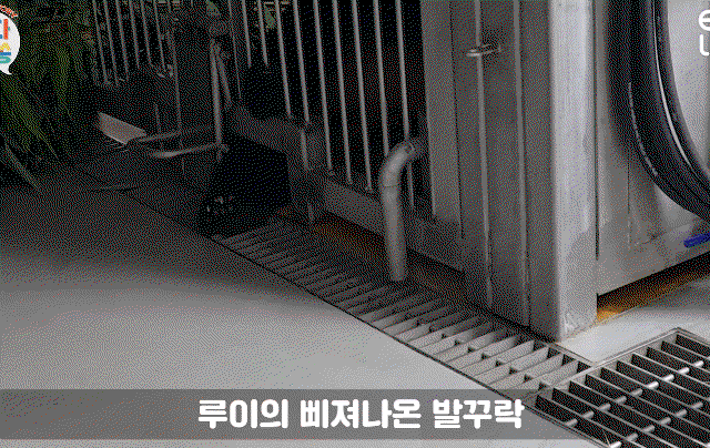 zqoiJB.gif