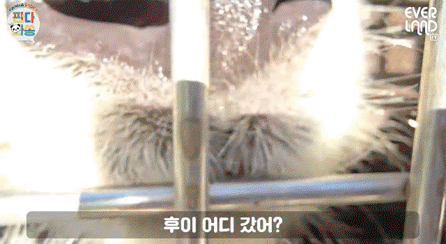 zsFRvu.gif