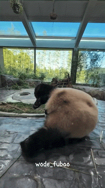 zsHZAv.gif