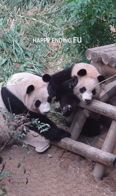 zuOfAz.gif