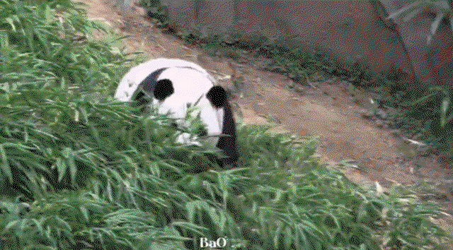 zufnPY.gif