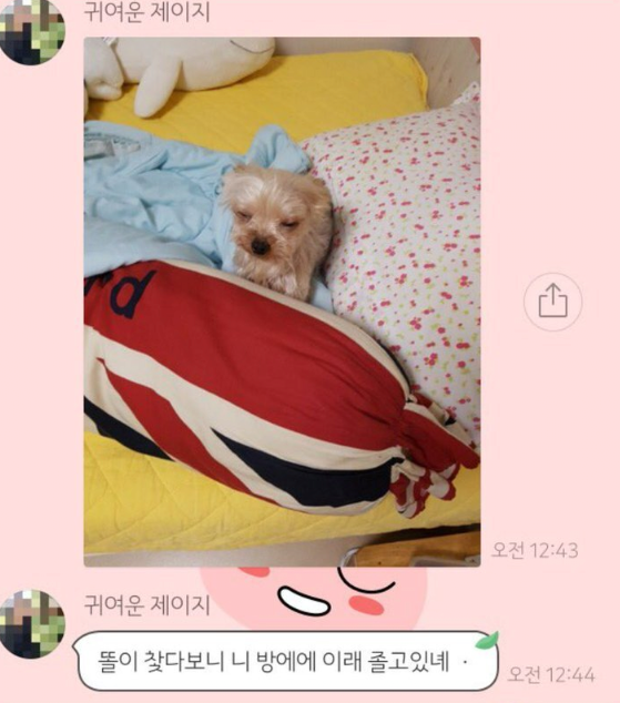 zwGMfG