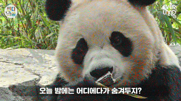 zwoQMZ.gif