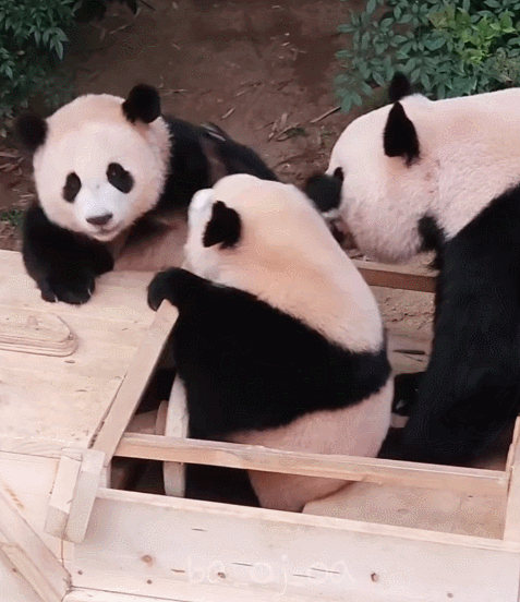 zwsQku.gif
