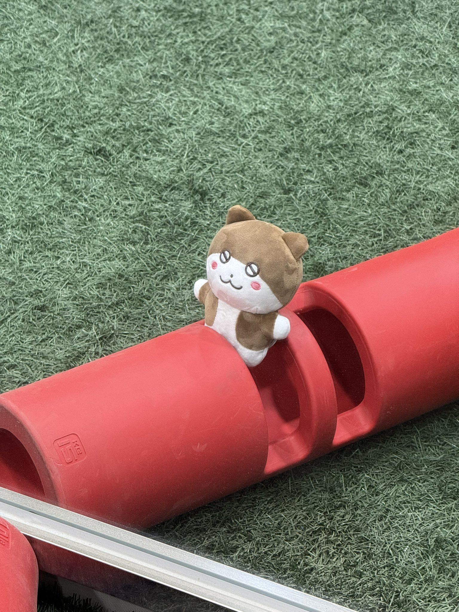 zyxLYy