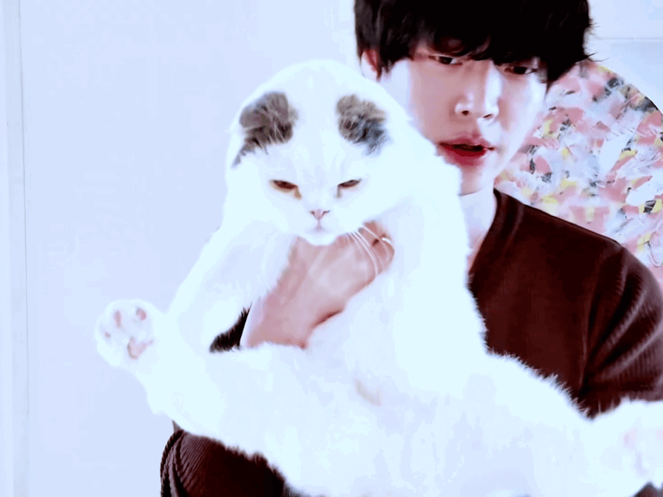 zyxhPd.gif