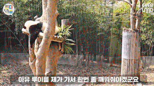 zzvEbg.gif
